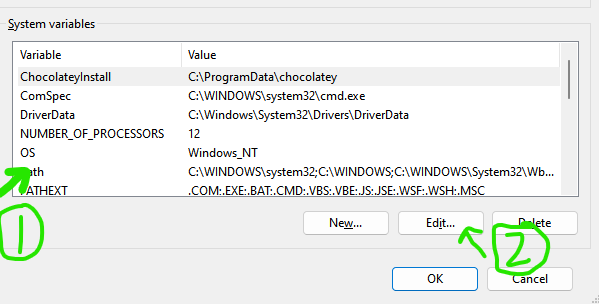 Selection of the Path item inside the Environment Variables window