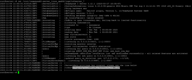 Console del server TeamSpeak al primo avvio con il token dei privilegi in evidenza