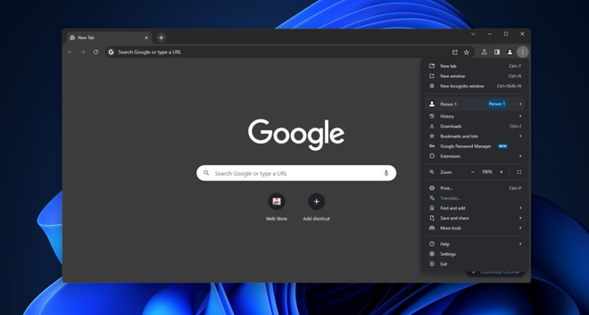 Schermata di ricerca e navigazione tramite il browser Google Chrome