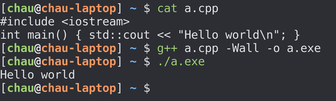 Terminale che compila un file C++ con g++ e ne esegue subito dopo il risultato