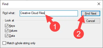 Inserimento della chiave di ricerca Creative Cloud Files nel pannello Trova